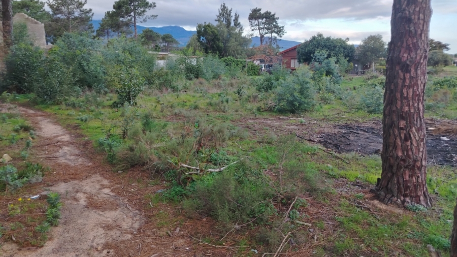 0 Bedroom Property for Sale in Bot River Western Cape
